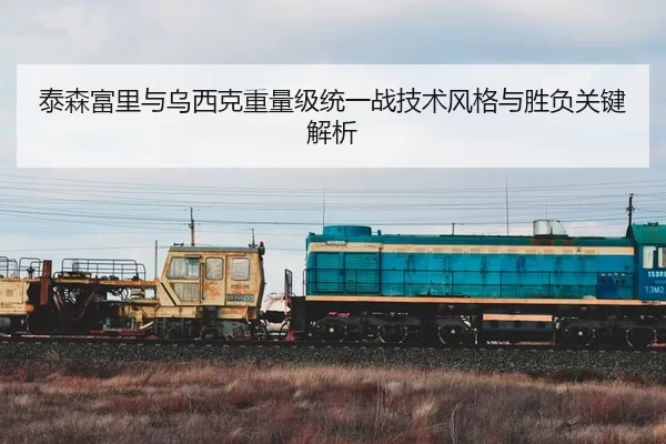 泰森富里与乌西克重量级统一战技术风格与胜负关键解析